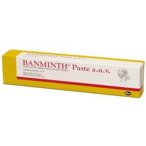 Banminth 21.62mg/g perorální pasta pro psy 16g
