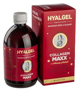 Hyalgel Collagen MAXX 500 ml VIŠEŇ vánoční 2020